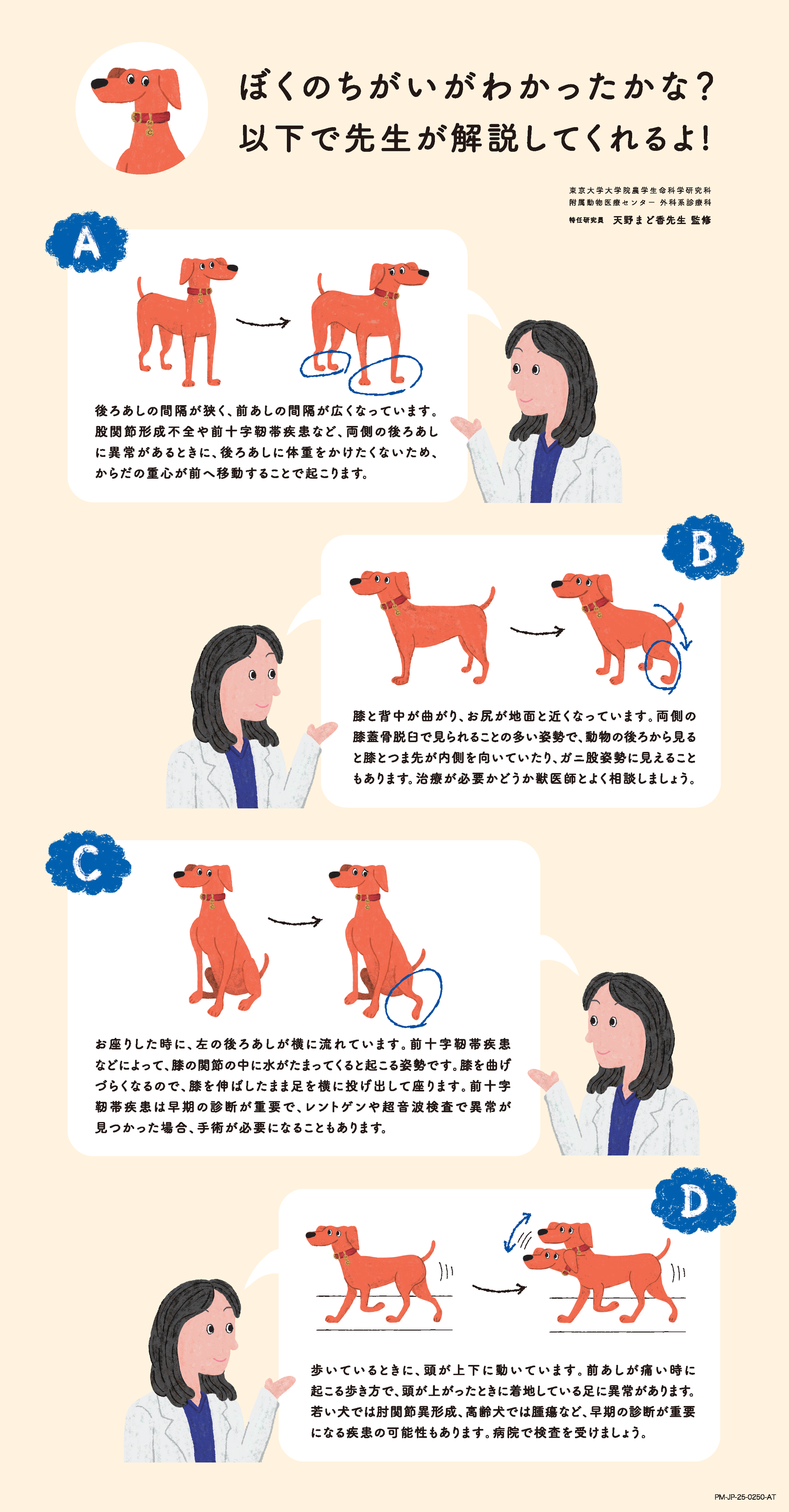 チャーリーあしどうしたの？こたえ