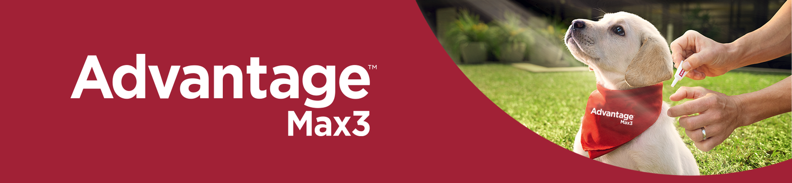 Banner Max 3