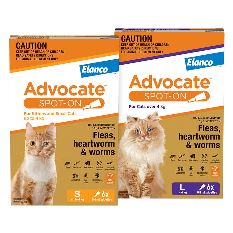 Advocate Spot-On for Cats | My Pet and I - Elanco Australia
