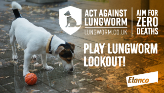 Lungworm lookout quiz thumbnail