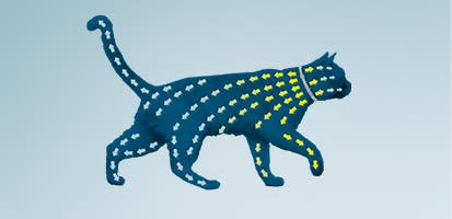 Silhouette of a cat and colorful dashes connecting head to tail