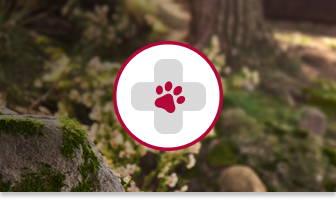 One red paw and a plus sign in a strikethrough circle on an opaque forest background