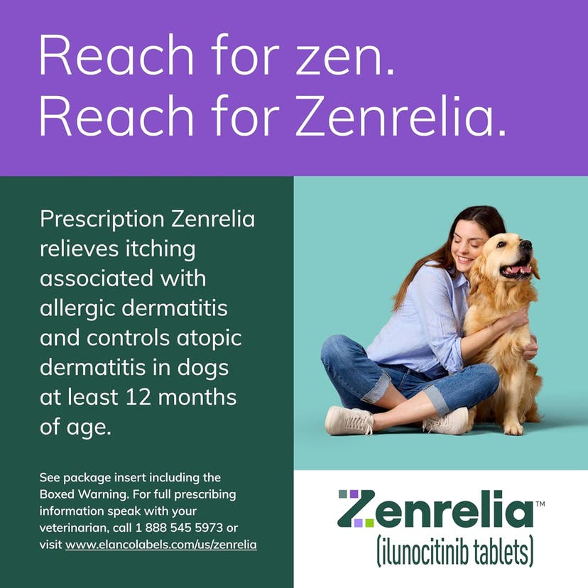 Reach for zenrelia. Prescription Zenrelia relieves itching associated with allergic dermatitis and controls atopic dermatitis in dogs at least 12 months of age.