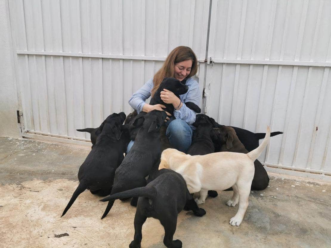Curso online educacion canina