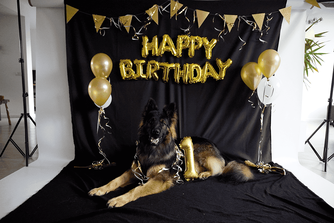 Otto 1 jaar 1