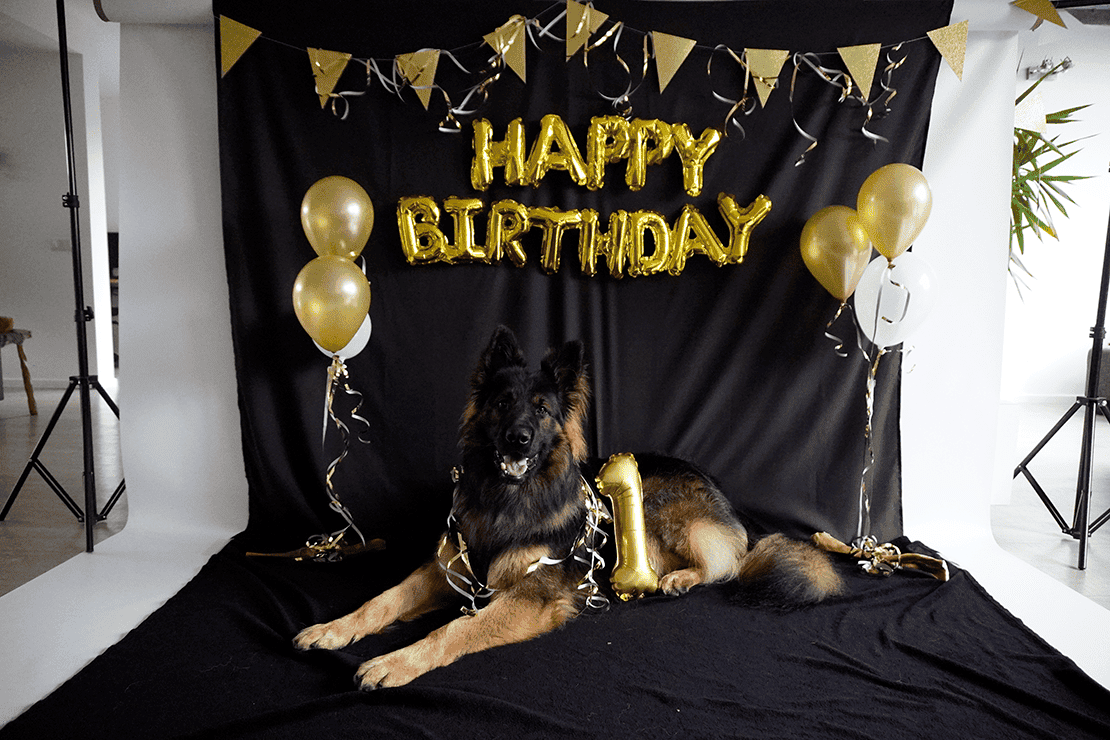 Otto 1 jaar 1