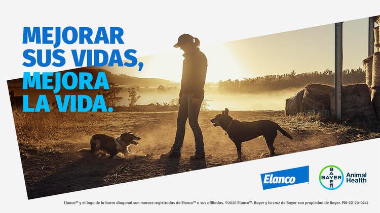 Bienvenida Elanco a Bayer AH