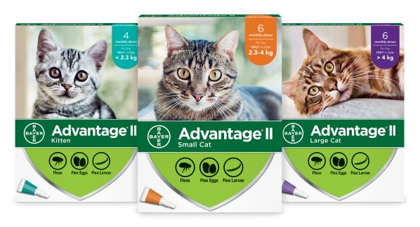 Advantage®II for cats packaging