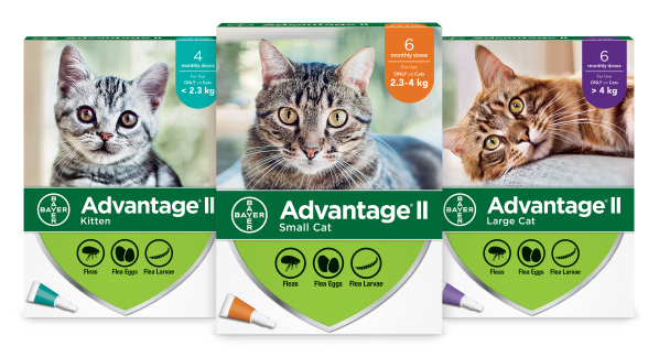 Advantage Vs Advantage 2 For Cats