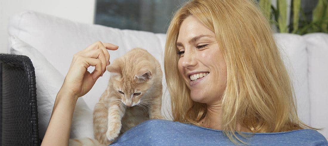 Gatto con proprietario felice