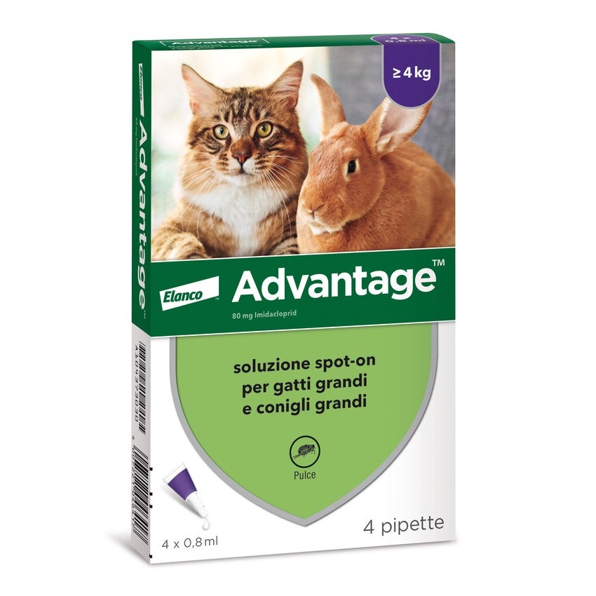 Advantage 80 mg soluzione spot-on per gatti grandi e conigli grandi