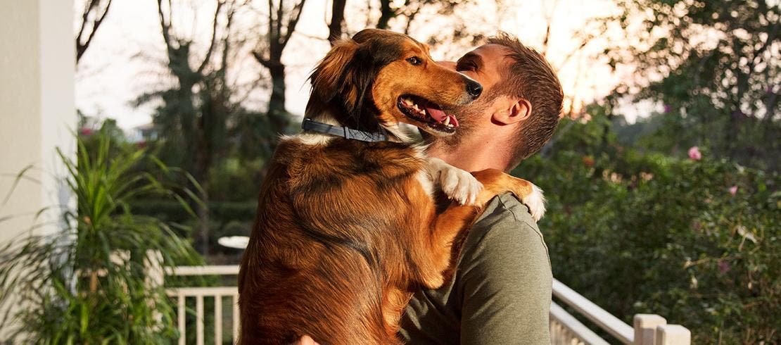 Foto van een hond die zijn baasje omhelst