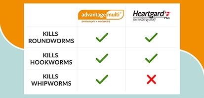 intestinal worms treatment comparison chart of Advantage Multi vs Heartgard Plus