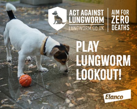 Play the Lungworm Lookout Quiz by Elanco