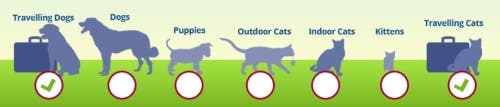Animals at risk of heartworm