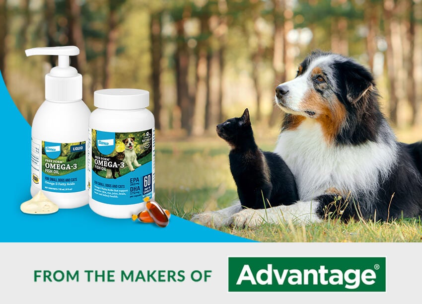 dog and cat lying down at the park with Freeform omega-3 fish oil overlay 