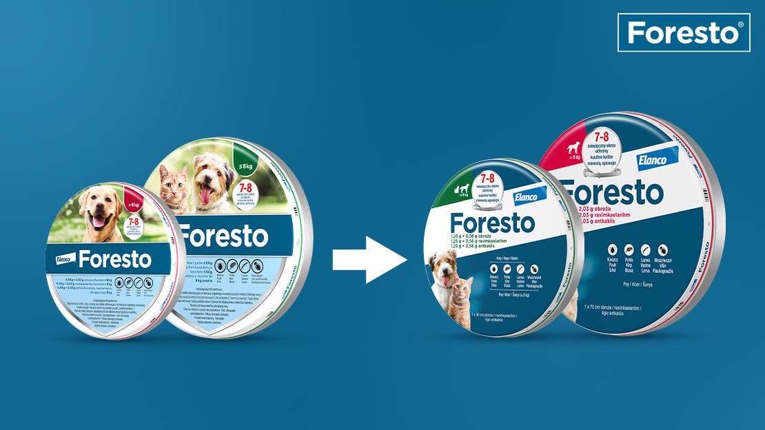 Nowe opakowanie obroży Foresto - inny wygląd i zabezpieczenia