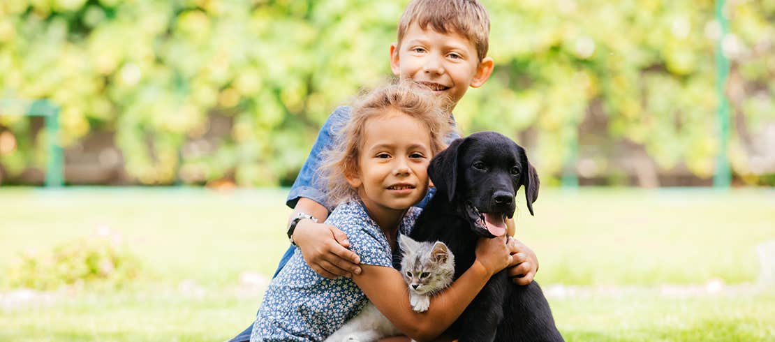children happily playing with their de-wormed kitten and puppy in the back garden.