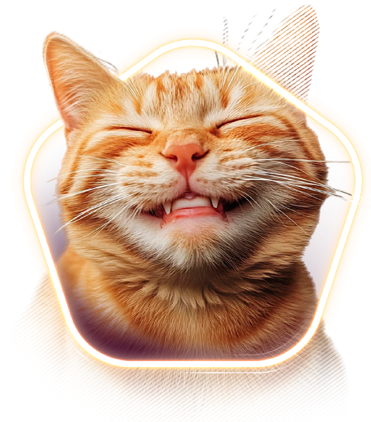 Gato laranja tigrado de pelo curto em close, com os olhos fechados e expressão de sorriso, mostrando levemente os dentes, em fundo branco estilizado com contorno luminoso ao redor da cabeça.