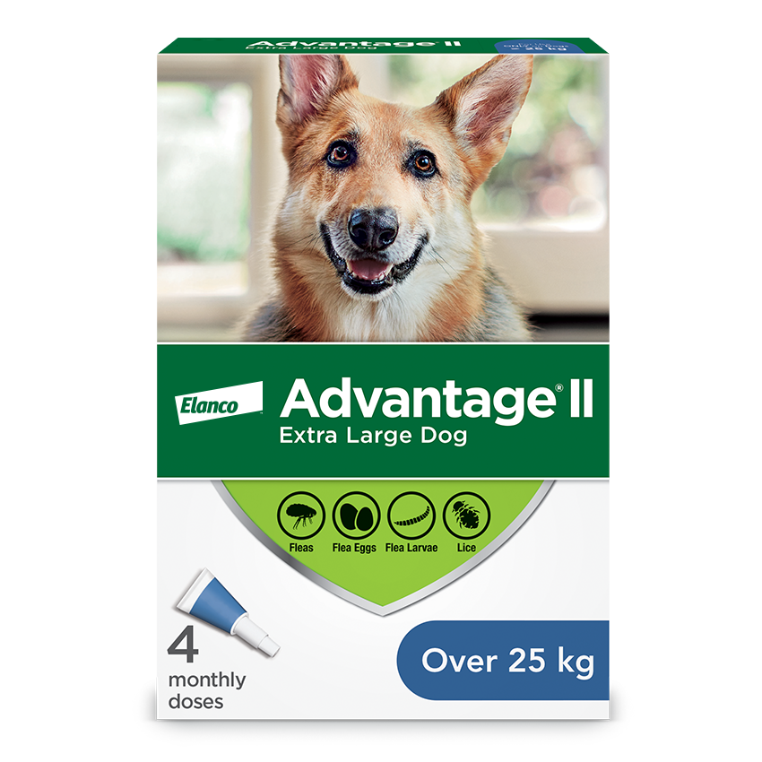 Advantage®II Flea Protection for Extra Large Dogs - 4 pack