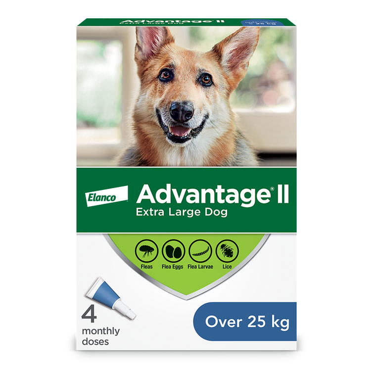 Advantage®II Flea Protection for Extra Large Dogs - 4 pack