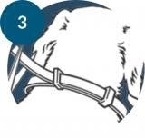 Passo 3