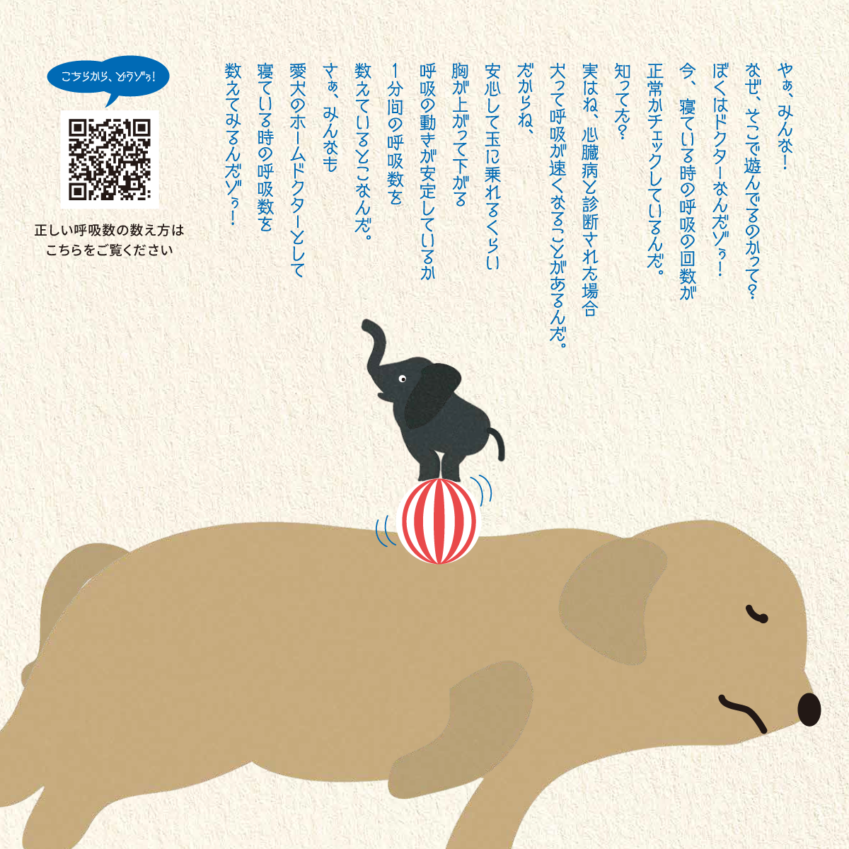 犬 の 呼吸 数