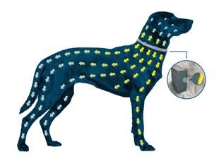 Diagram of how seresto works for dogs