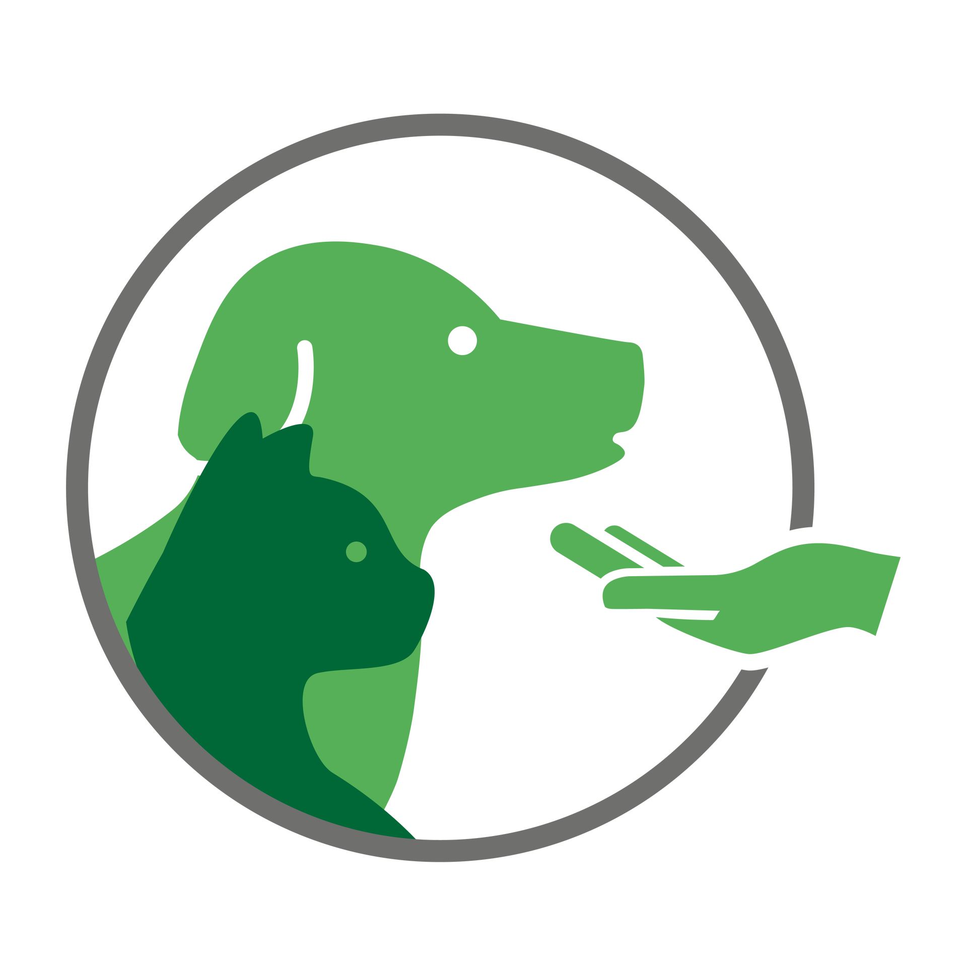 Capstar™ Comprimé AntiPuces pour chien et chat Elanco Site Officiel