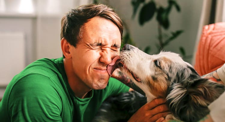Dog sitting on a couch licking their owner’s face 