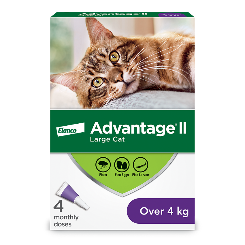 Advantage®II Flea Protection for Large Cats - 4 pack