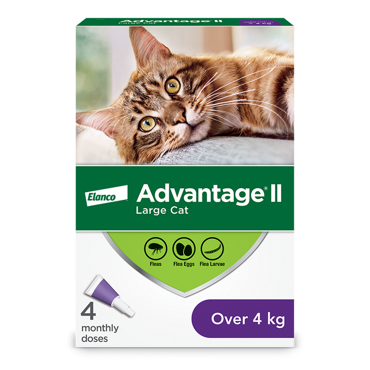 Advantage®II Flea Protection for Large Cats - 4 pack