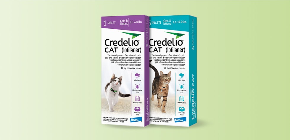 Credelio® — Monthly Flea & Protection for Your Cat