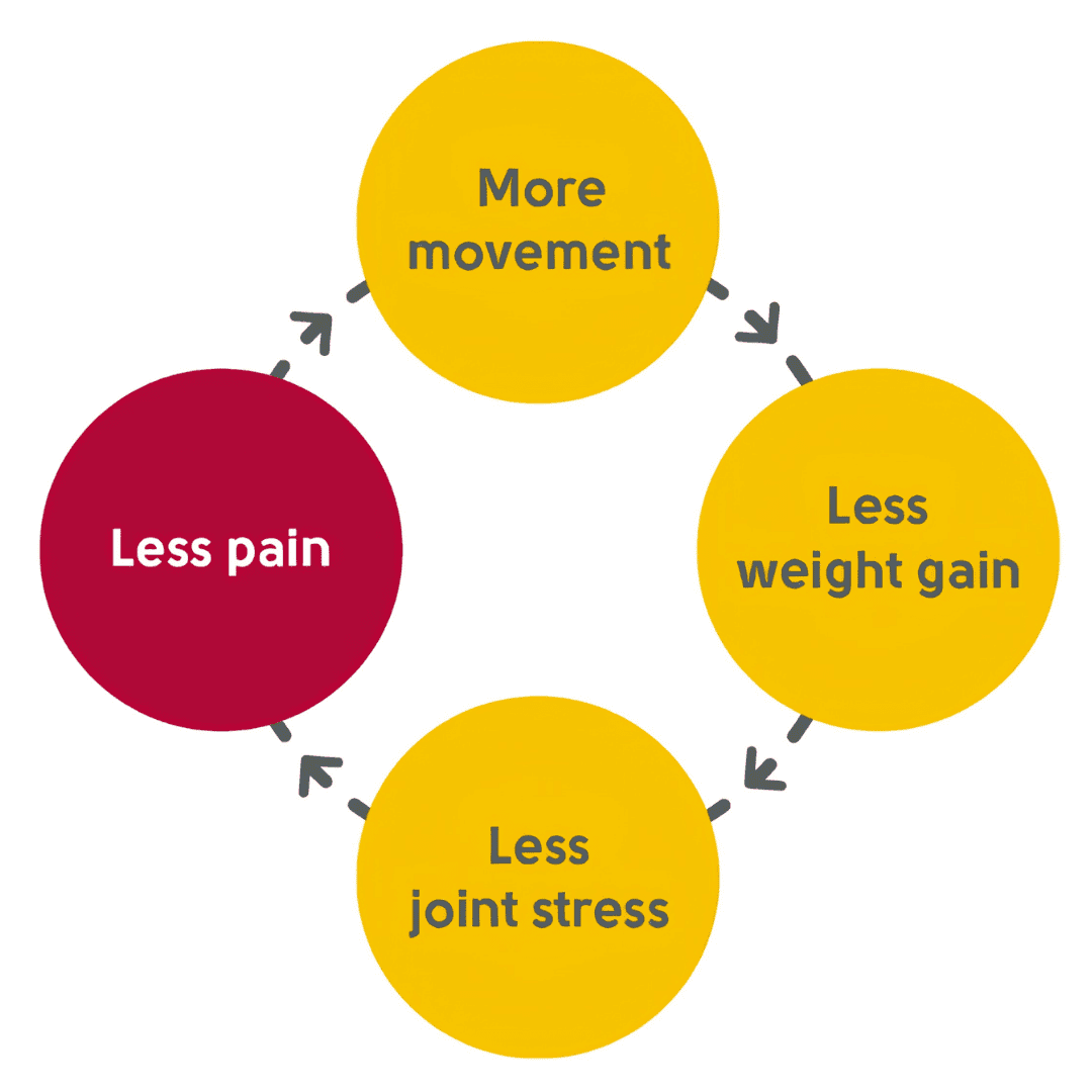 The pain life cycle