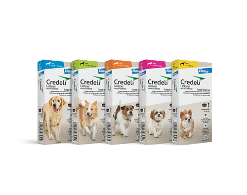 Pack de embalagens Credeli Cães