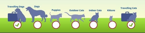 Animals at risk of eyeworms