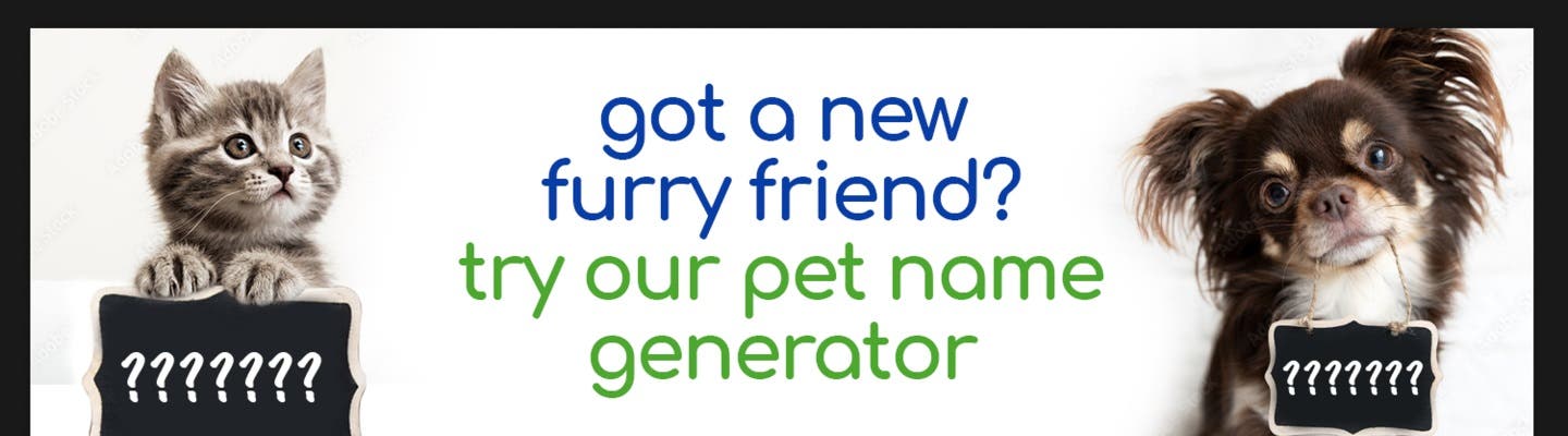 Got a new furry friend? Try our pet name generator