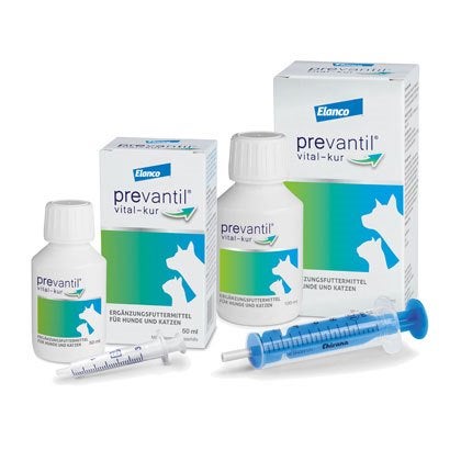 Prevantil Vital Kur