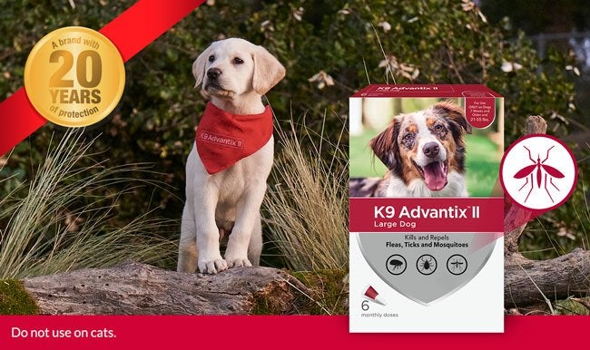 k9-advantix-long-lasting-mosquito-prevention-for-dogs