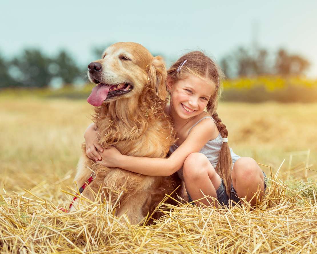 Dog with the owner