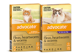 Packshot Advocate cats group