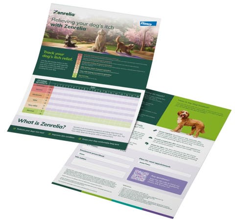 Zenrelia | Once-daily tablets for itchy dogs