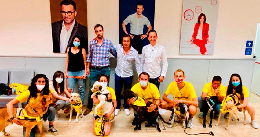 Proyecto Perros Felices