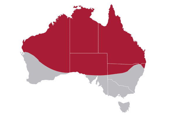 Map of tick borne disease spread in Australia