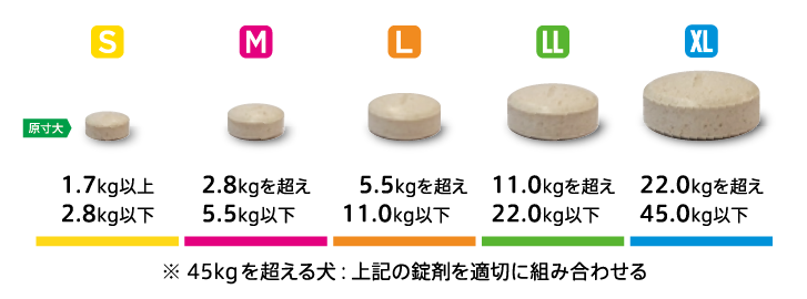 クレデリオプラス 原寸大イメージ