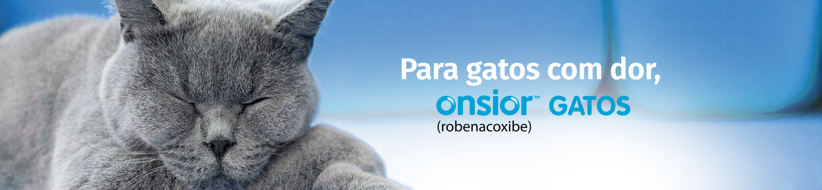Banner Onsior Gatos