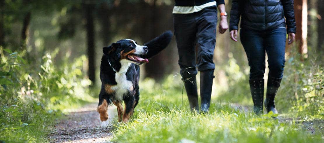 Pareja caminando por un sendero con su perro