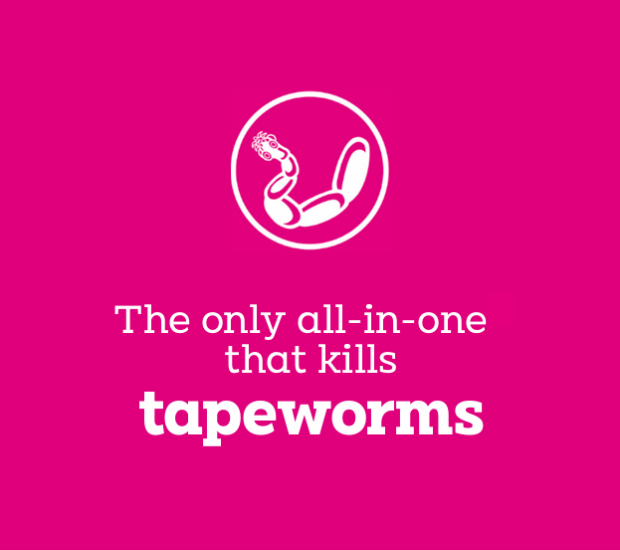 Advocate Ultra Chew - The only all-in-one* that kills tapeworms too