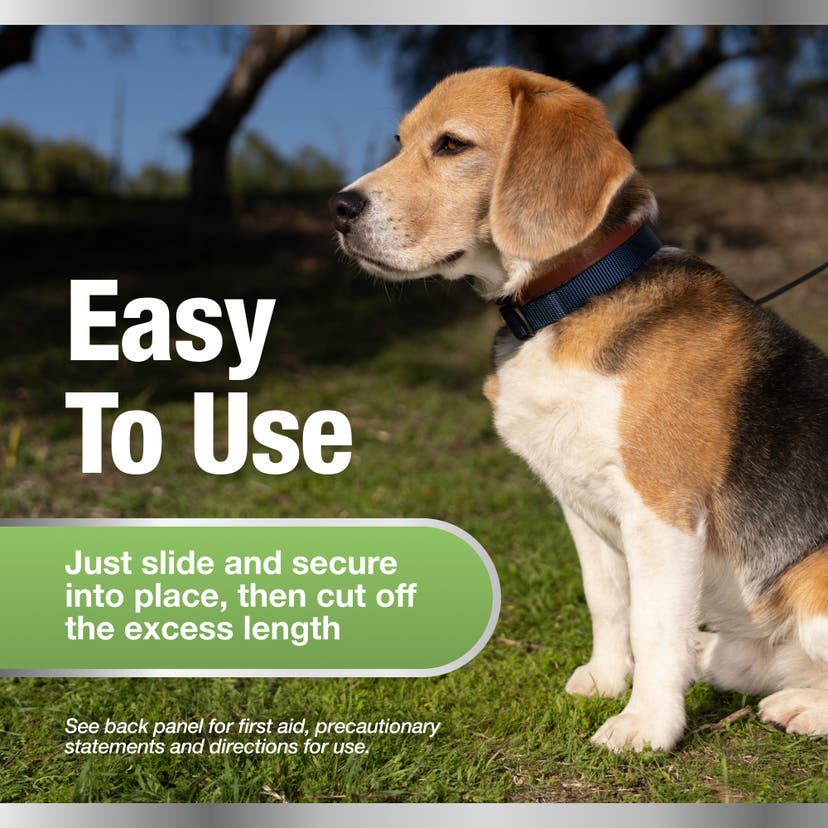Easy to use flea collar for dogs. Slide and secure into place, then cut off excess length. 