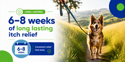 long-lasting Befrena. 6-8 weeks of long lasting itch relief for dogs